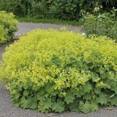 Манжетка ТРИЛЛЕР мягкая в Перми