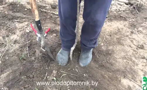 Превью видео