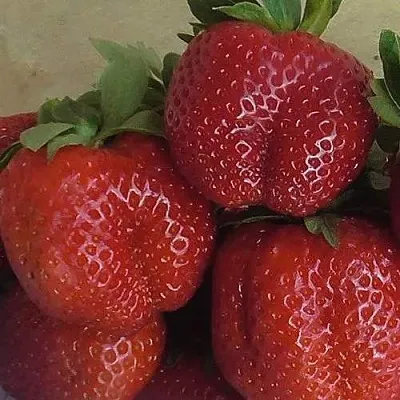 Клубника ДЕСТЕНИ  Клубника ДЕСТЕНИ в Перми