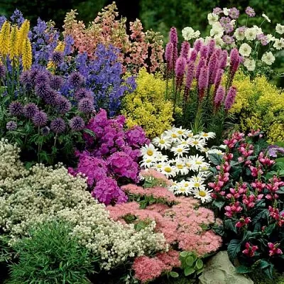 Травы в Перми