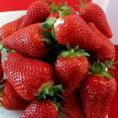 Клубника БРИЛЛА  Клубника БРИЛЛА в Перми