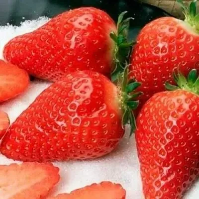 Клубника АЛЬБА  Клубника АЛЬБА в Перми