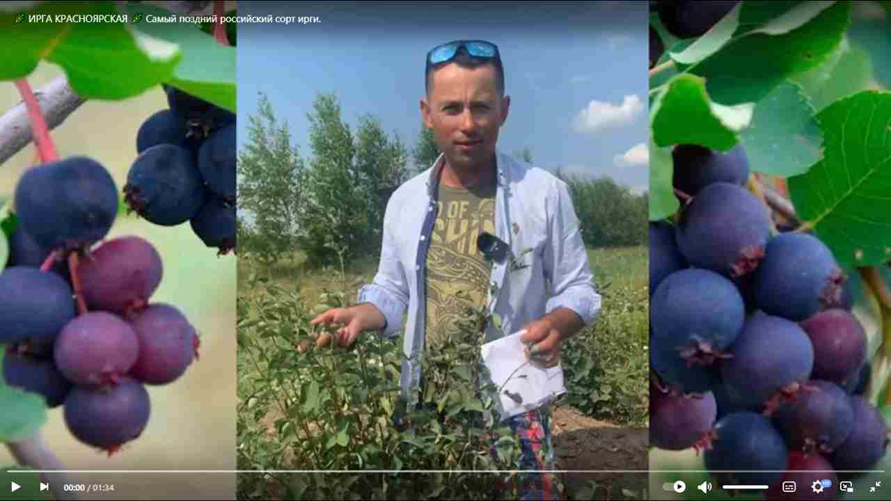 Превью видео